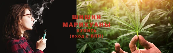прущие грибы Билибино