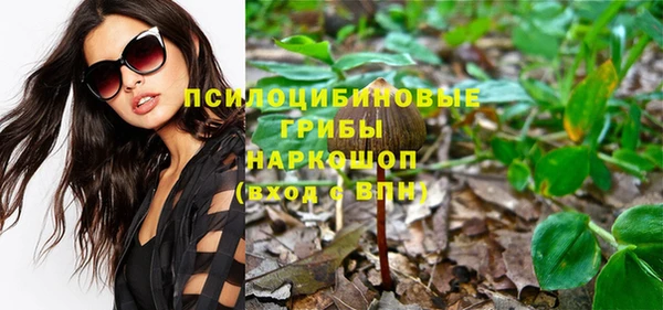 мдма Богородицк