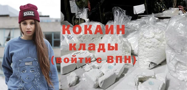 прущие грибы Билибино