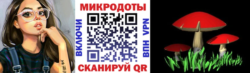 Псилоцибиновые грибы Psilocybine cubensis  купить закладку  Дигора 